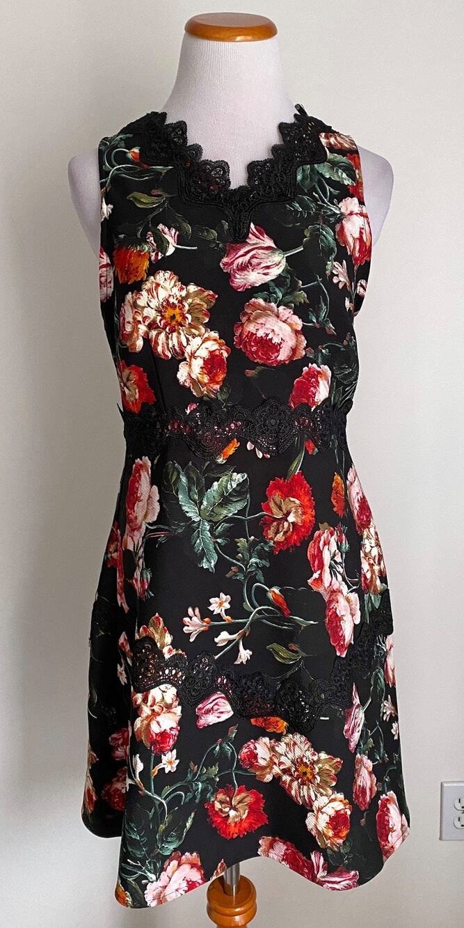 Chelsea28 Foxie Floral Dress, Black & Red Floral w/ Black Lace Trim, Medium